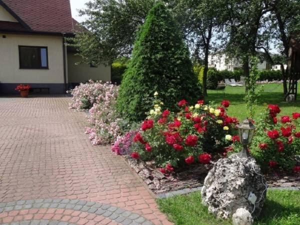 Skalny Apartamenty, Pokoje Ogrodzieniec Exterior foto
